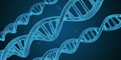 הפעלת צופני DNA
